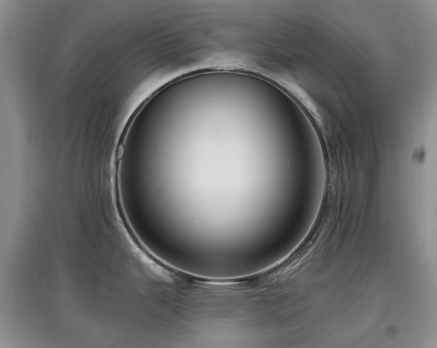 X0000097911343200803141410