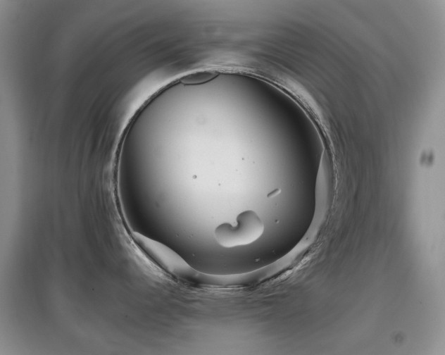 X0000097911344200803141410