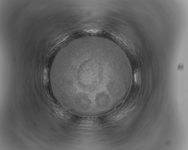 X0000097911347200803141409