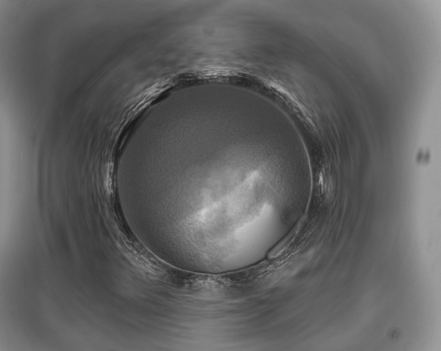 X0000097911348200803141409