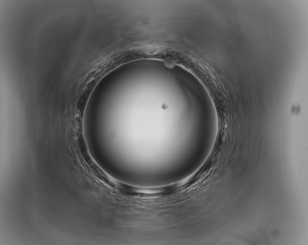 X0000097911349200803141409