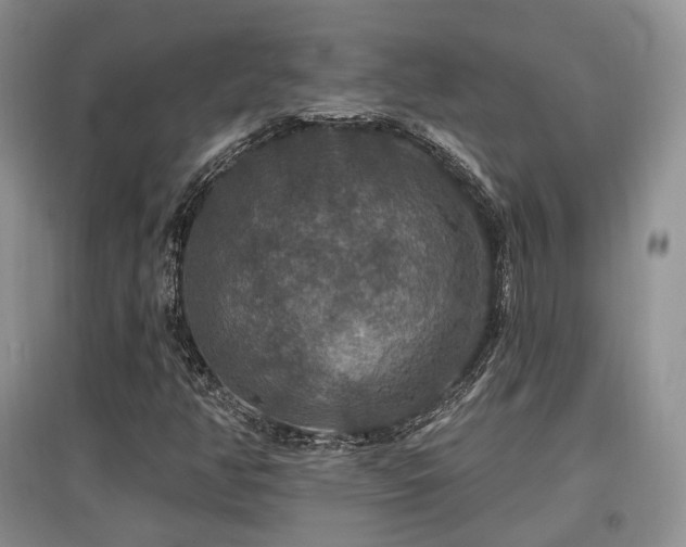 X0000097911350200803141409