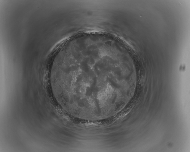 X0000097911351200803141409
