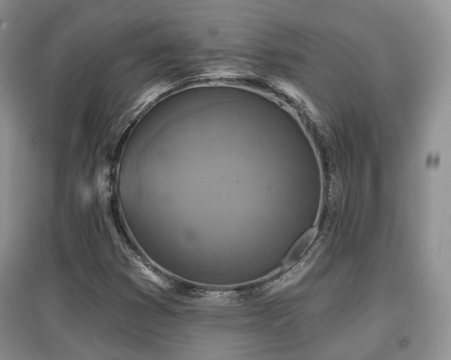 X0000097911353200803141409