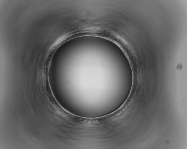 X0000097911354200803141409