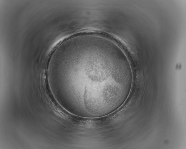 X0000097911355200803141409
