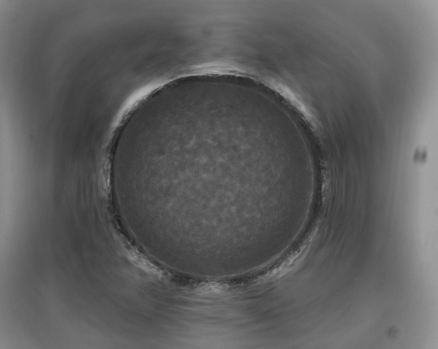 X0000097911358200803141409