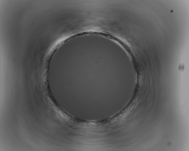 X0000097911359200803141409