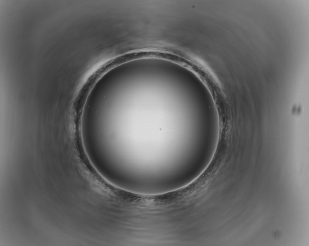 X0000097911360200803141409
