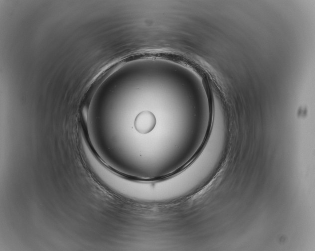 X0000097911361200803141409