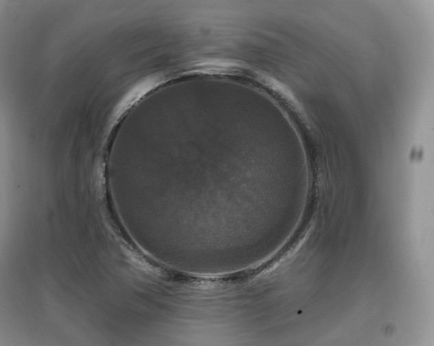 X0000097911362200803141409