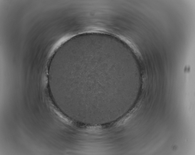 X0000097911363200803141409