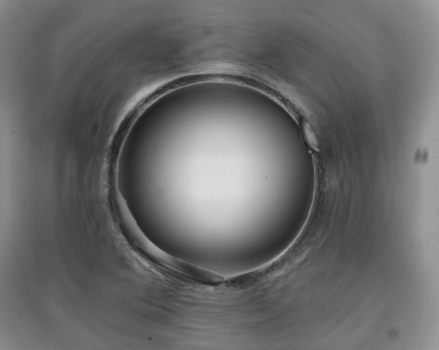 X0000097911364200803141409