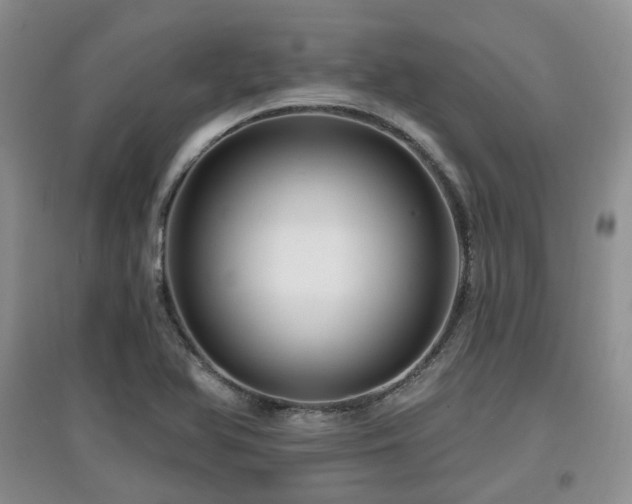 X0000097911366200803141408
