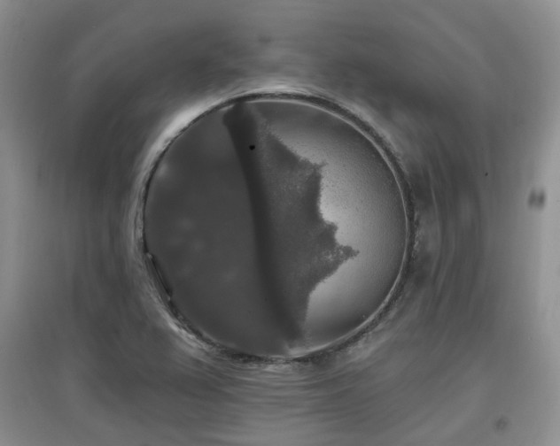 X0000097911367200803141408