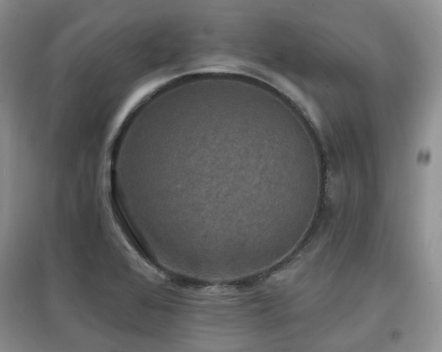 X0000097911368200803141408