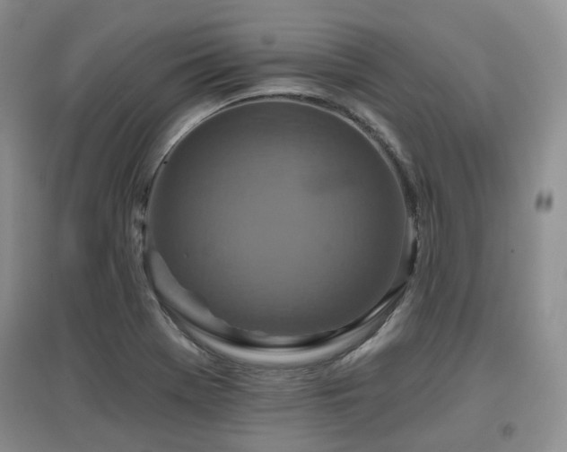 X0000097911369200803141408
