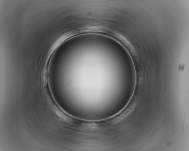 X0000097911370200803141408