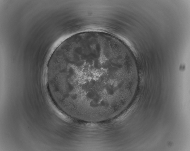 X0000097911371200803141408