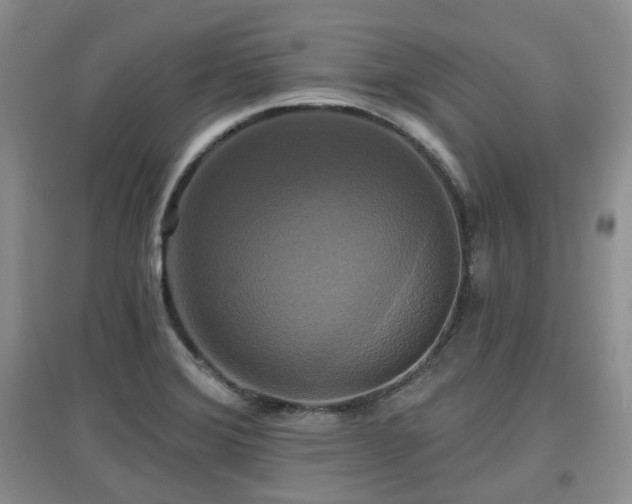 X0000097911372200803141408
