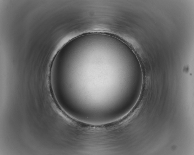 X0000097911374200803141408
