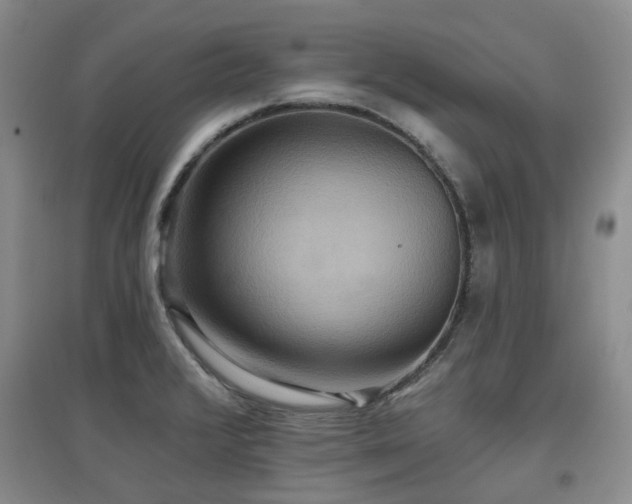 X0000097911376200803141408