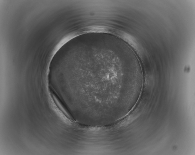 X0000097911378200803141408