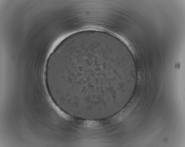 X0000097911379200803141408