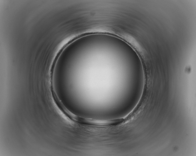 X0000097911380200803141408