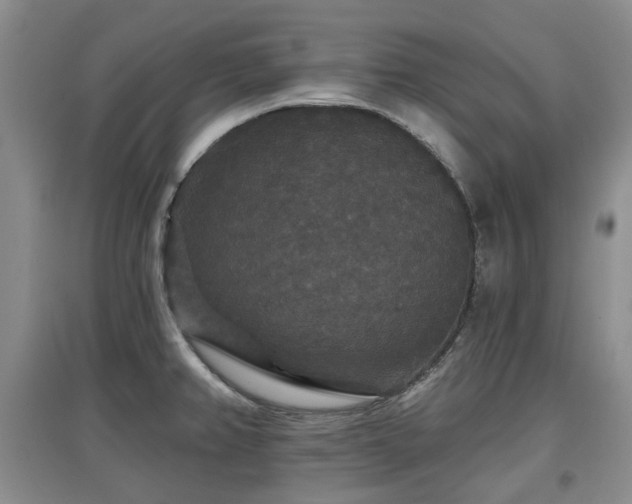 X0000097911382200803141408