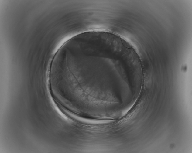 X0000097911383200803141408