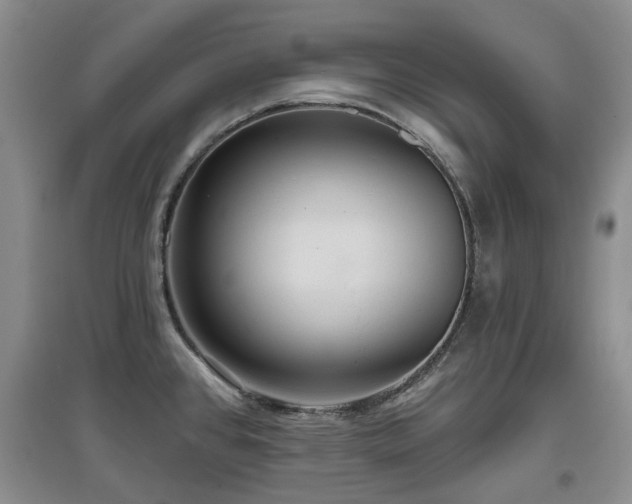 X0000097911384200803141408