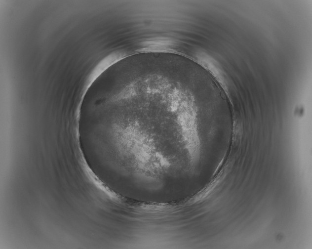 X0000097911386200803141408