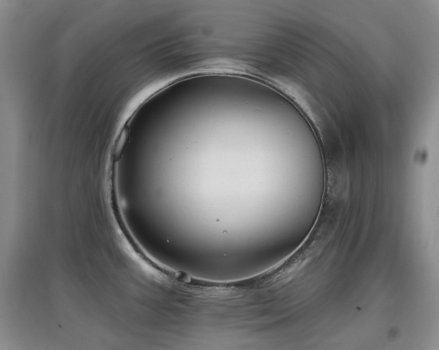 X0000097911387200803141408