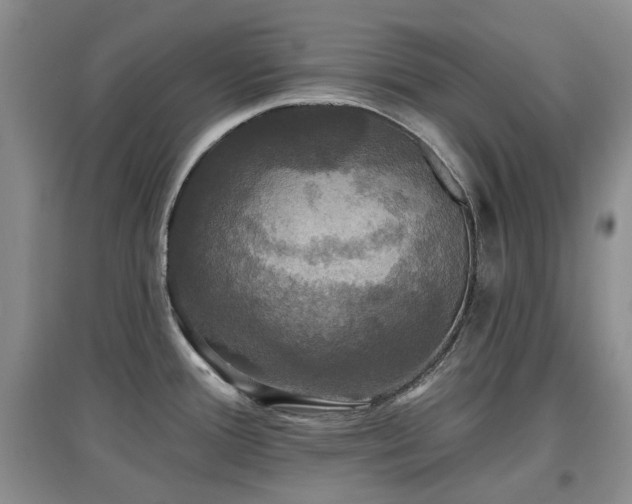 X0000097911388200803141408