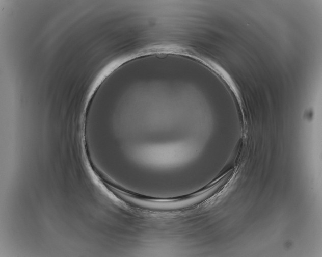 X0000097911389200803141408