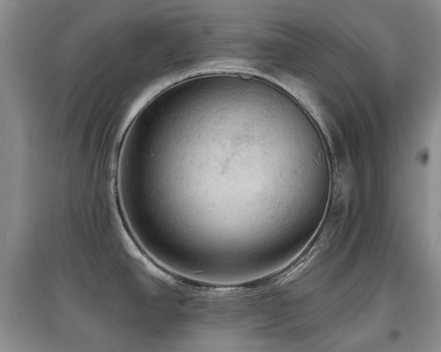 X0000097911390200803141408