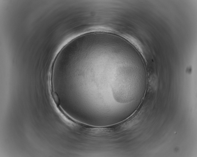X0000097911391200803141408