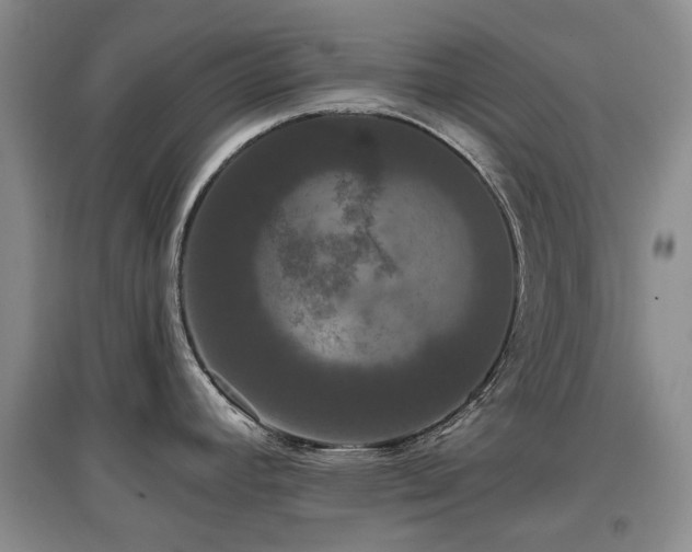 X0000097911392200803141408