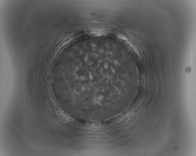 X0000097911393200803141407