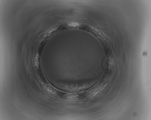 X0000097911394200803141407