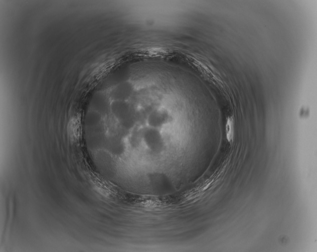 X0000097911395200803141407