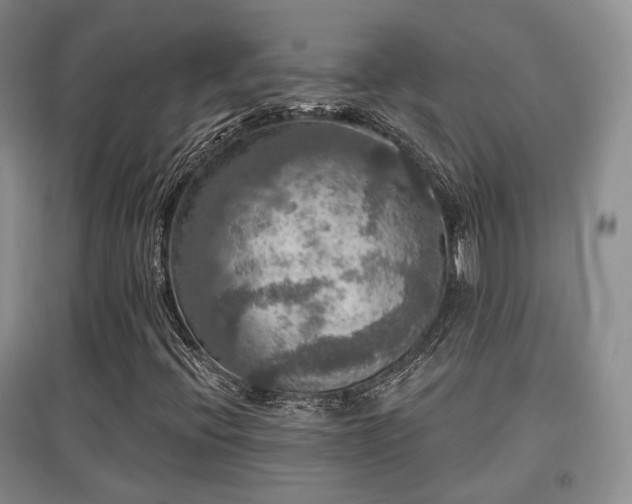 X0000097911396200803141407