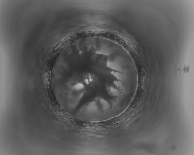 X0000097911397200803141407