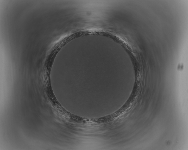 X0000097911398200803141407