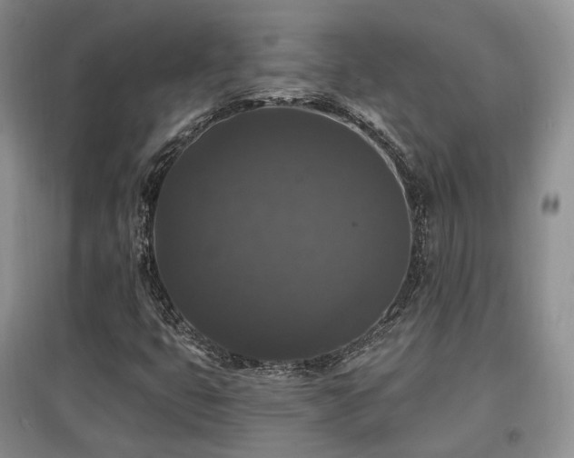 X0000097911399200803141407