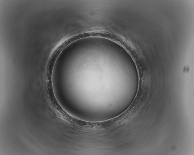 X0000097911400200803141407