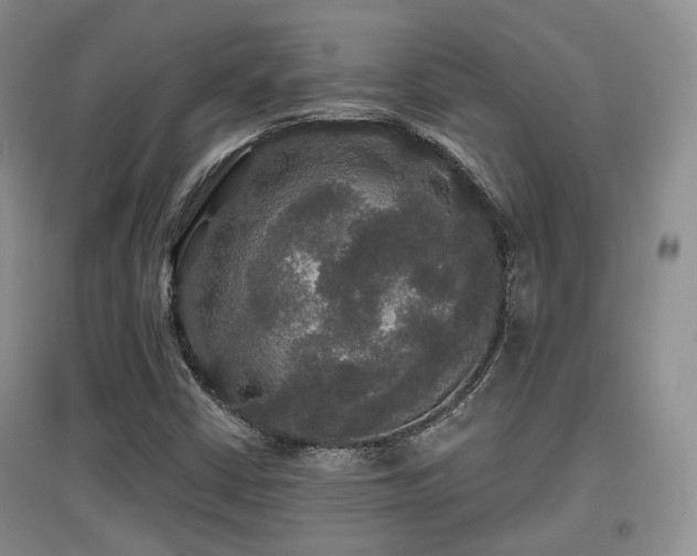 X0000097911402200803141407