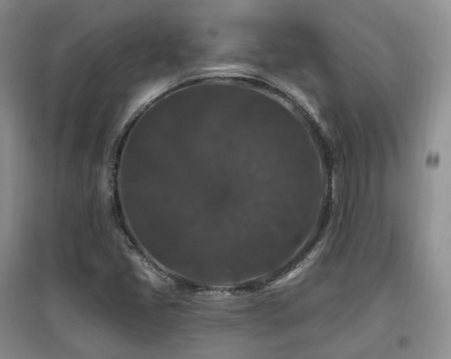 X0000097911405200803141407