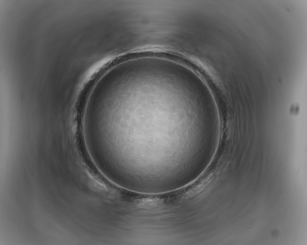 X0000097911406200803141407